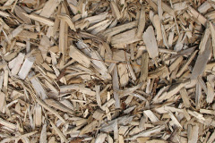 biomass boilers Eccleston